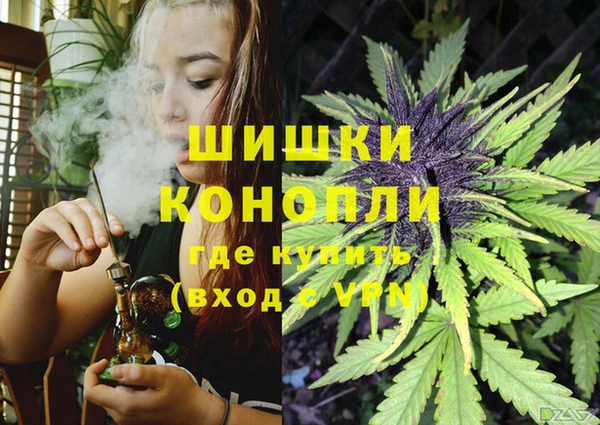 дмт Мегион