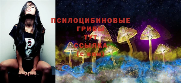 тгк Медвежьегорск